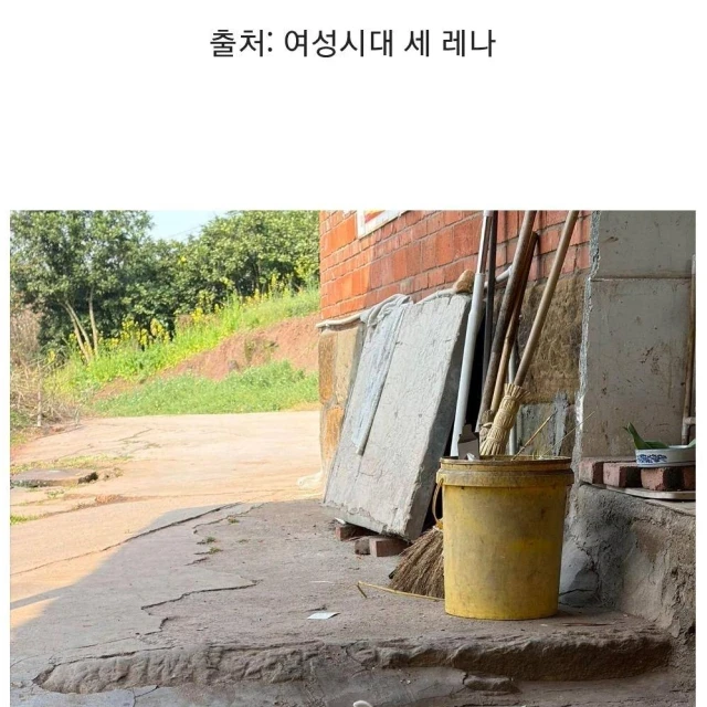 태어난지 한달정도 된 거 같은 시고르자브종.🐶🐶🐶