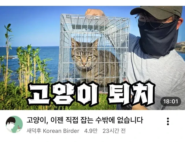 유튜버 새덕후 근황