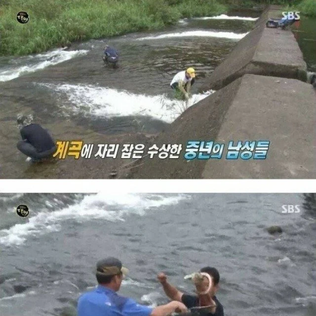 자연산 장어의 위엄 ㄷㄷ.jpg
