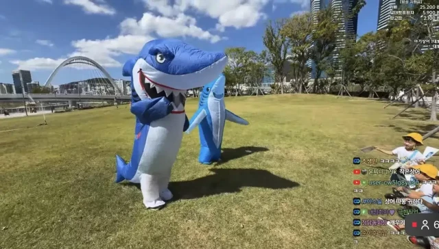 신박한) 부산 상어 근황 ㄷㄷ.jpg