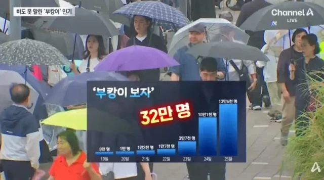 0원으로 만든 부산상어 홍보효과 근황